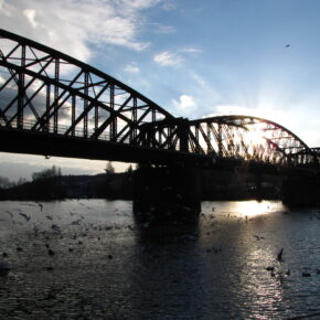 Železniční most je na dobré cestě!